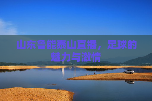 山东鲁能泰山直播，足球的魅力与激情