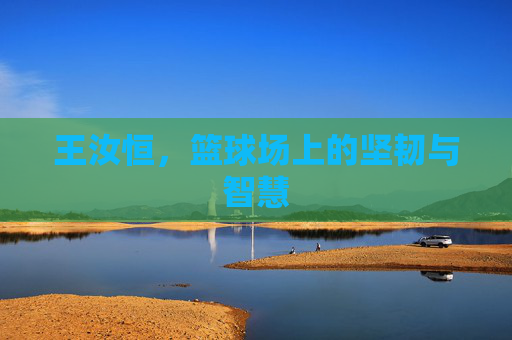 王汝恒，篮球场上的坚韧与智慧
