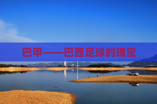 巴甲——巴西足球的瑰宝