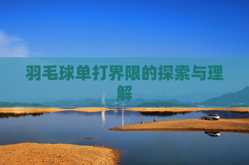 羽毛球单打界限的探索与理解