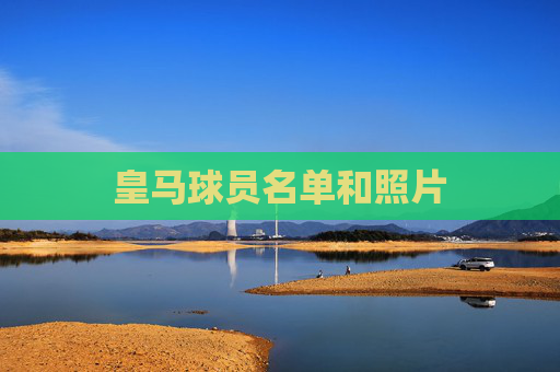 皇马球员名单和照片