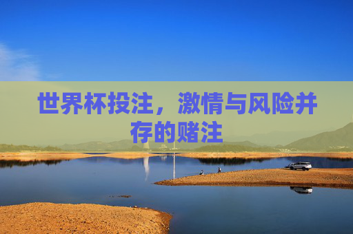 世界杯投注，激情与风险并存的赌注