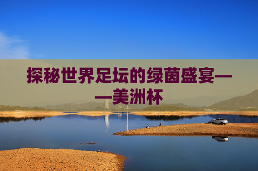 探秘世界足坛的绿茵盛宴——美洲杯