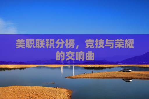 美职联积分榜，竞技与荣耀的交响曲