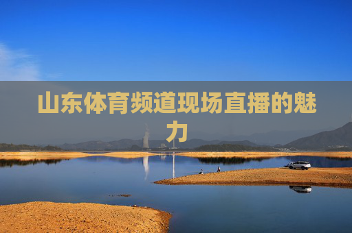 山东体育频道现场直播的魅力