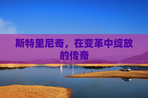 斯特里尼奇，在变革中绽放的传奇