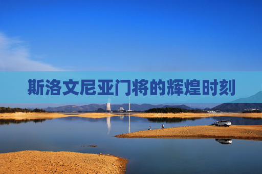 斯洛文尼亚门将的辉煌时刻