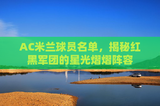 AC米兰球员名单，揭秘红黑军团的星光熠熠阵容