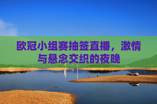 欧冠小组赛抽签直播，激情与悬念交织的夜晚