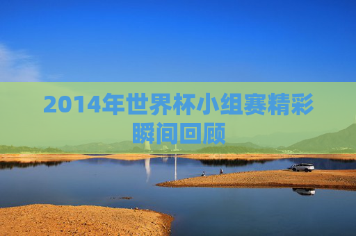2014年世界杯小组赛精彩瞬间回顾