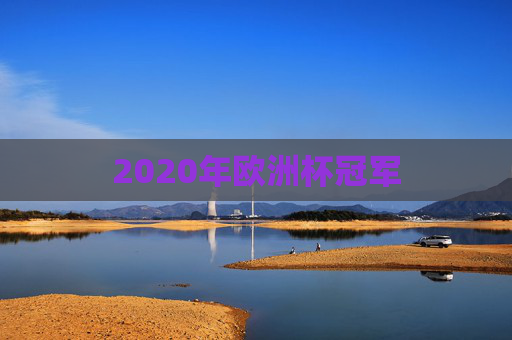 2020年欧洲杯冠军