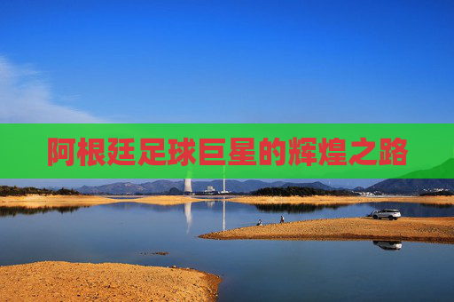 阿根廷足球巨星的辉煌之路